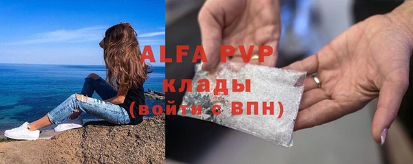 эйфоретик Богданович