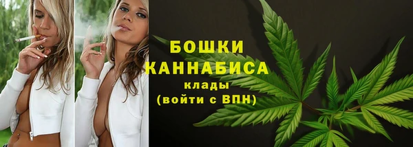 молекула духа Богородицк