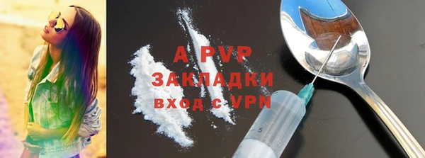 эйфоретик Богданович