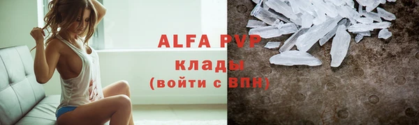 молекула духа Богородицк