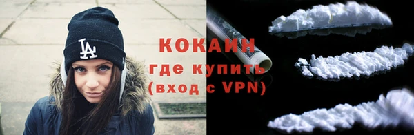 эйфоретик Богданович