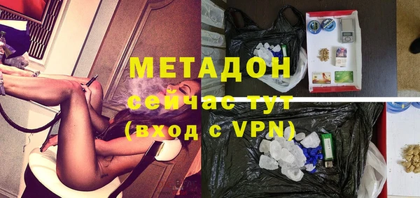 молекула духа Богородицк