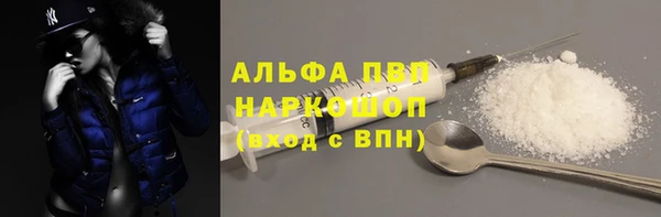эйфоретик Богданович