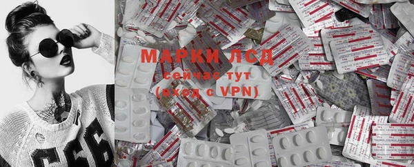эйфоретик Богданович
