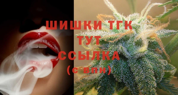эйфоретик Богданович