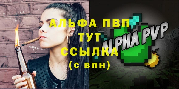 молекула духа Богородицк