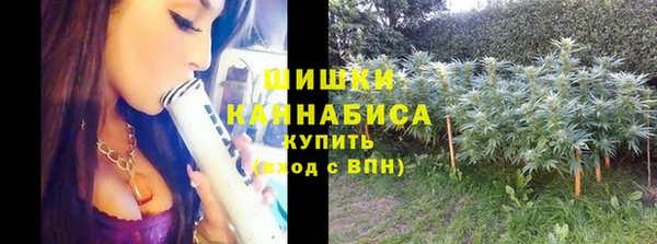 эйфоретик Богданович