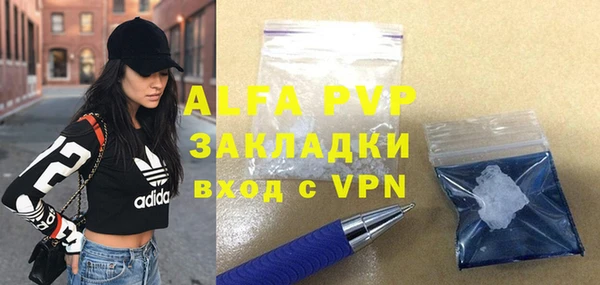 молекула духа Богородицк