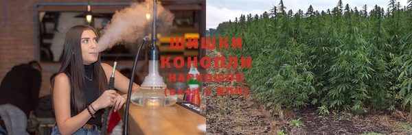 молекула духа Богородицк
