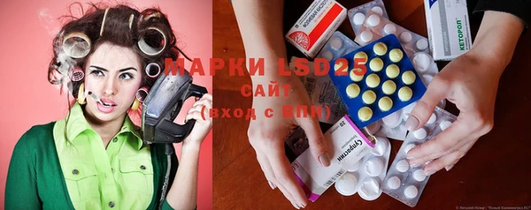 молекула духа Богородицк