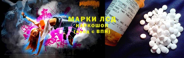 молекула духа Богородицк