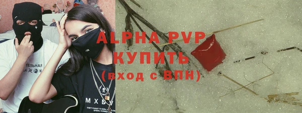 молекула духа Богородицк